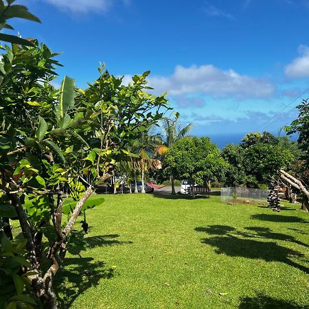 L'Escapade Creole Jacuzzi Privatif Bungalow Bananier Saint-Joseph Luaran gambar