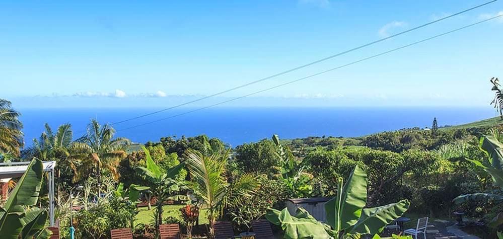 L'Escapade Creole Jacuzzi Privatif Bungalow Bananier Saint-Joseph Luaran gambar